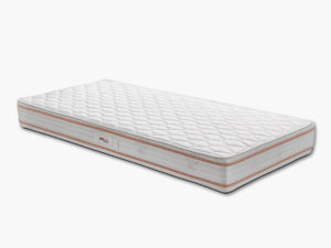 Биская - двулицев